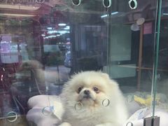 -FAELING PETS美天灵宠物(富力广场店)