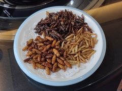 炸虫子-野菌皇海景野生菌火锅(滨海大道店)