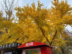 -城市运动公园(未央区)