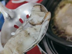 -花苑美食横琴生蚝火锅(拱北粤华路店)