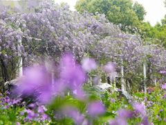 -白沙门生态公园