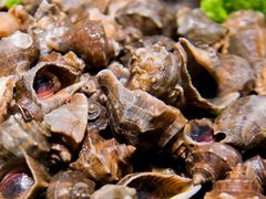 -渔岛海洋度假区