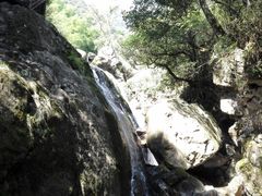 -东天目山风景区