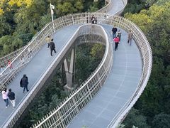 -福道