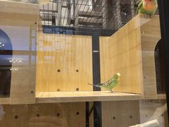 -太湖饭店玉兰厅(自助餐厅)