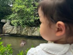 -宁波野生动物园