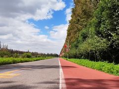 -上海长兴岛郊野公园