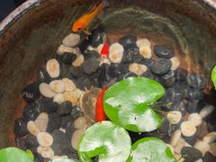 -曲水兰亭(北京四惠店)