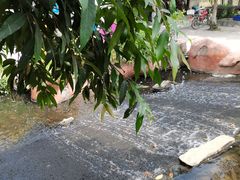 -丹樱生态园