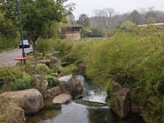 -中国茶叶博物馆(双峰馆区)