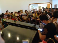 -鼓浪屿钢琴博物馆