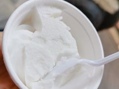 椰子雪糕-洪馨椰子