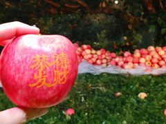 -chi K11艺术空间展览厅