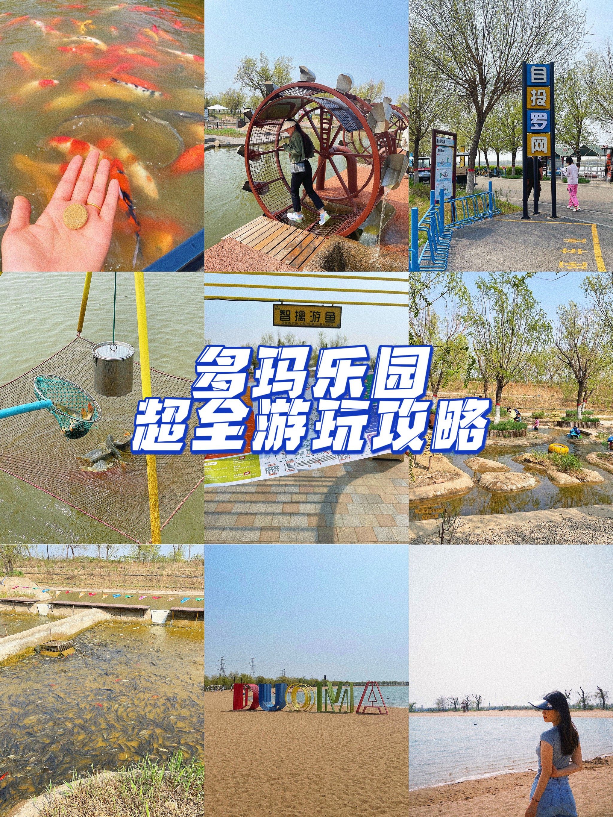 不知道去哪里的看过来!多玛乐园超全攻略赶紧码住!