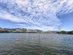 -飞来湖湿地公园