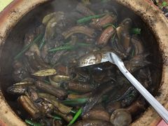 -天强农家菜馆