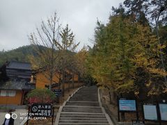 -天柱山风景区