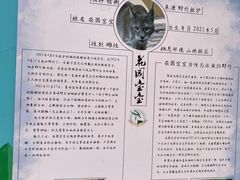 -青藏高原野生动物园