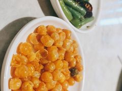 -天辣(金桥啦啦宝都店)