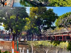-宝墨园景区