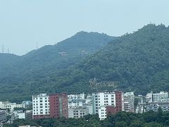 -宝利来国际大酒店-凤凰阁旋转餐厅