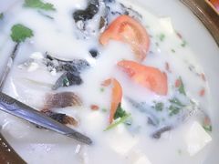 -全乐鱼馆·淳牌有机鱼直营店