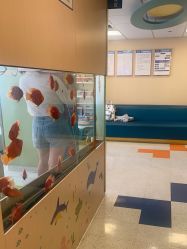 点击看大图 -杭州贝瑞斯美华妇儿医院·早孕·产检·儿科