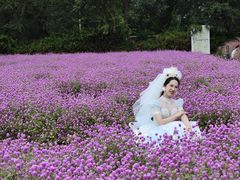 -玫瑰海岸文化旅游度假区