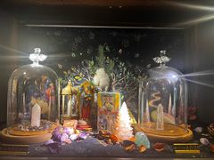 -雪灵魔法世界SHELLY’S TAROT(大良桂畔里店)