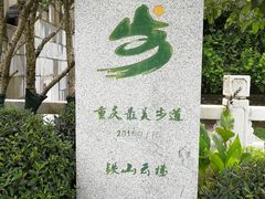 -铁山坪森林公园