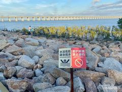 -宝安西湾红树林湿地公园