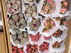 -循礼门鲜花花市(武汉循礼门店)