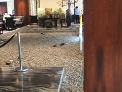 -桐庐开元名都大酒店