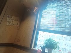 -泥糊破店小酒馆·团建聚餐(南京西路店)