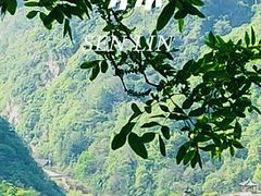 -秦岭风景区