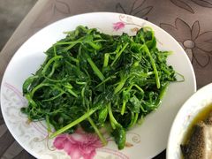 -食客三千·老家