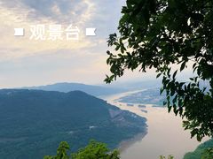 -铁山坪森林公园