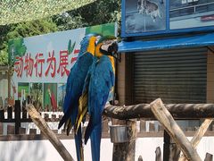 -秦皇岛野生动物园
