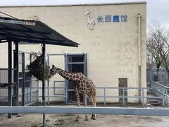 -上方山森林动物世界