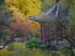 -香山公园