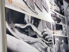 -林记木担鱼丸汤(鼓浪屿店)