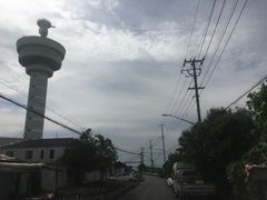 -芦潮港集贸市场