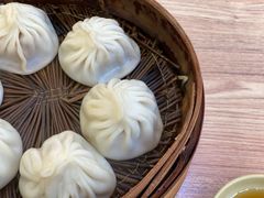 鲜肉生煎-大壶春生煎(四川中路店)