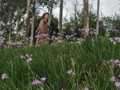 -白鹭湾湿地公园