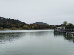 -长广溪湿地公园