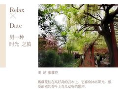 -嘉定紫藤园