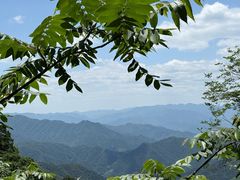 -王顺山国家森林公园