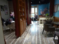 -星豆豆儿童摄影(南郊太白南路店)