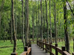 -天河潭旅游度假区