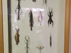 -陕西自然博物馆